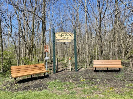 Dodge Woods Preserve & StoryWalk® - Lake Erie Islands Conservancy
